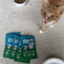 원이중학교 | 페토에이드 제주광어드링크 고양이음료 고양이 음수보충 간식