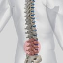 드림바디 & 바디앤솔 가장점 이미지