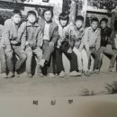 백마체육관 이미지