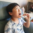 (주)화성써모 | 장 건강을 위해 VSL#3 생유산균 먹고 있어요~