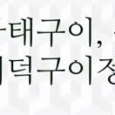 뉴소나무펜션 네이버블로그