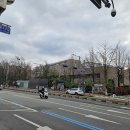 일호 극장 | 대학로 파랑새극장 마술쇼 미래상상마술쇼 (백투더퓨처쇼) 관람 후기