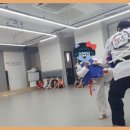 월드태권도 예절관 이미지