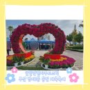 동민컴퍼니 네이버블로그