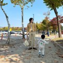 토이즈 | 토이즈맥코이 스티브 맥퀸 치노 후기 36 사이즈 수축 팁 및 스타일링