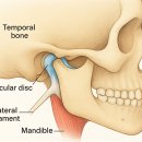 가야치과병원 이미지