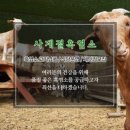 사계절 흑염소 농장 이미지