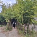 평지경로식당 이미지