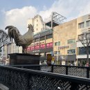 산골닭갈비 | [Dec.5] 춘천 여행 필수 코스｜명동 산골 닭갈비 후기 🍗