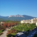 플라자C.C 이미지