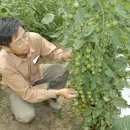 한아름농원 이미지