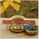자연생약국 | 곰보배추 효능 폭발, 가을환절기 면역력 올리는 먹는법 공개(ft.주의사항)