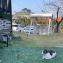 안면도위드유 이미지