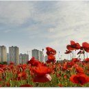 율곡행복주유소 이미지