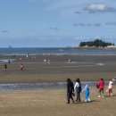 태안 몽산포 해수욕장 아침 풍경 이미지