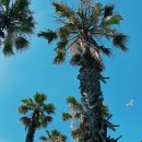 정선한의원 이미지