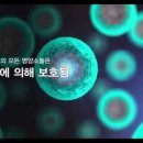 흑홍삼