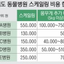 포포동물병원