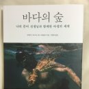 해나무