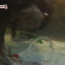햇님농장 이미지