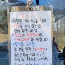 냉천로 164(top 빌딩) 앞 횡단보도 | 진해돈까스 유명한 자은동맛집 문카츠