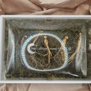 산속의 아침 | [식품리뷰]어버이날 선물 추천 산속의삼 6년근 산양삼