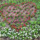 남가좌1동주민센터 이미지