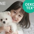 한일목욕탕 | 전자파 걱정 없이 푹신한 겨울잠? 디센느 X 한일 카본 매트로 따뜻함 업그레이드! ❄️🔥