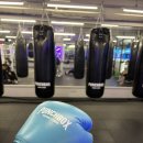 [남부] 웰빙요가 B | 서초복싱 펀치박스 서초 솔직후기 남부터미널역 3분 거리