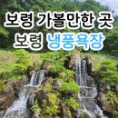 냉풍욕장 | 보령 냉풍욕장 다녀왔습니다. 무료입장, 족욕, 주차 후기