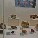 덕소자연사박물관 이미지