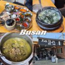죽성사거리(1) | 부산맛집 기장끝집 죽성본점 내돈내산 찐후기 기장맛집추천