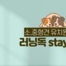 사랑으로유치원 이미지