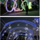 설나들이 국내 안산 불빛축제~가족과함께!! 이미지