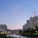 수영강 동천교 네이버블로그