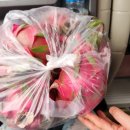 과일 충전소 이미지