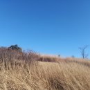 (사)두란노서원