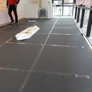 핑크강아지 이미지