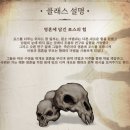 CABAL 티스토리