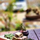 갤러리하루농장 이미지