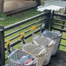 호미인문경 이미지