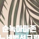 아마준 | 피지조절 순녹아마존노세범선크림