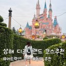 도그렉스 | 상해 디즈니랜드 코스 추천과 불꽃놀이 명당, 어트랙션 추천