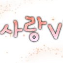 장어사랑 - 경주시 충현로3길 8 | 장어사랑