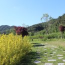 봉화경북약국 이미지