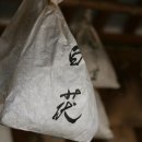 가한의원 이미지