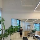 마음피움센터 | 숨겨진 보석 발견! 검단필라테스, 피움클래식필라테스에서 제대로 운동했어요!