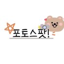 언더더트리