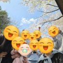 축령산아침 | 남양주 축령산 자연 휴양림 &#34;산림휴양관 산철쭉 12인실&#34; 후기