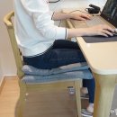 ZEO100 PC | 기능성방석 웨이븐방석 내 허리는 소중하니까